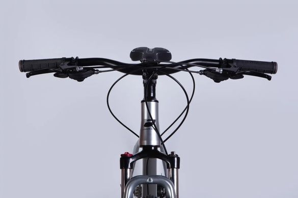 фото Велосипед AL 29" Formula ZEPHYR 3.0 DD CS срiблястий 2026