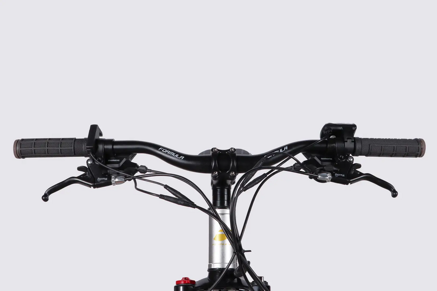 фото ЕЛЕКТРОВЕЛОСИПЕД 29" FORMULA F-1