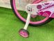картинка Дитячий велосипед Crossride Rose 20" 9