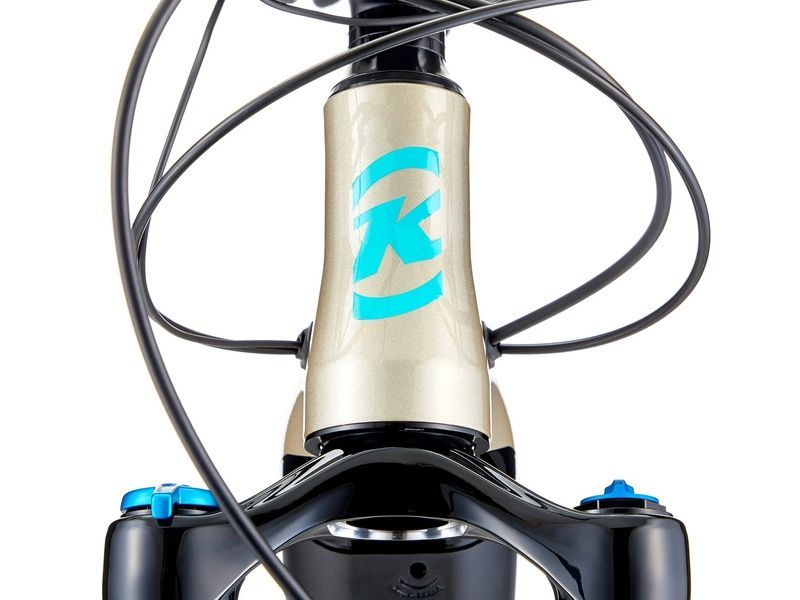фото Електровелосипед 29" Kona Remote 130 Gloss Metallic Pewter