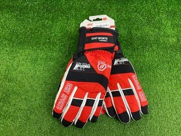 Перчатки горнолыжные ETCH SPORT, L, Взрослые
