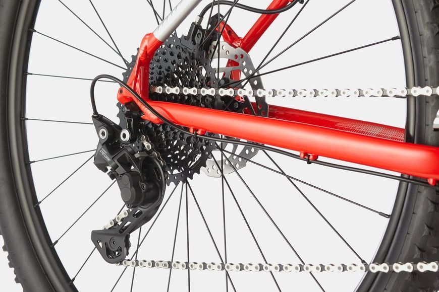 фото Велосипед горный 29" Cannondale TRAIL 5