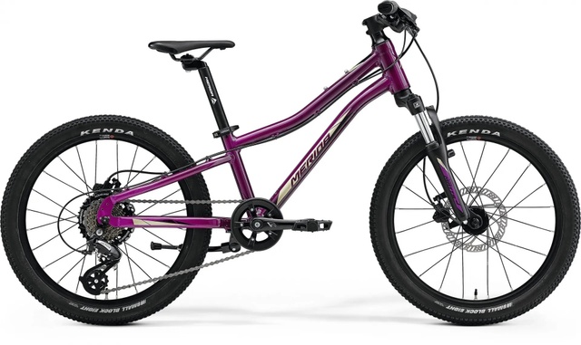 фото Велосипед детский 20" Merida MATTS J.20 (2023) purple