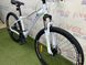 картинка Велосипед горный 26" Discovery MYSTIQUE AM DD 2025 11