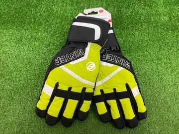 Перчатки горнолыжные ETCH SPORT, L, Взрослые