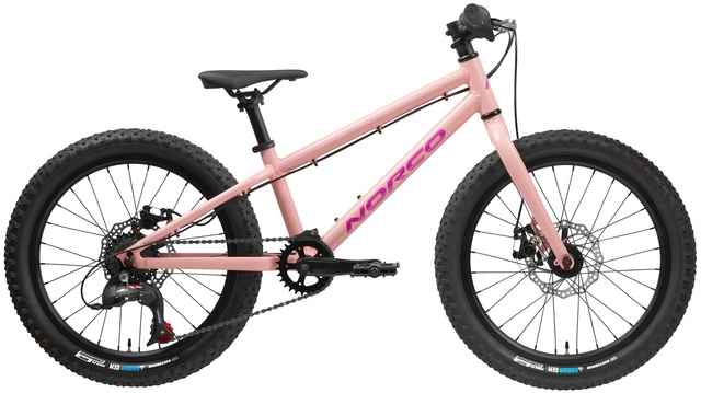 фото Велосипед детский 20" Norco Storm 20 Disc (2023) pink/purple