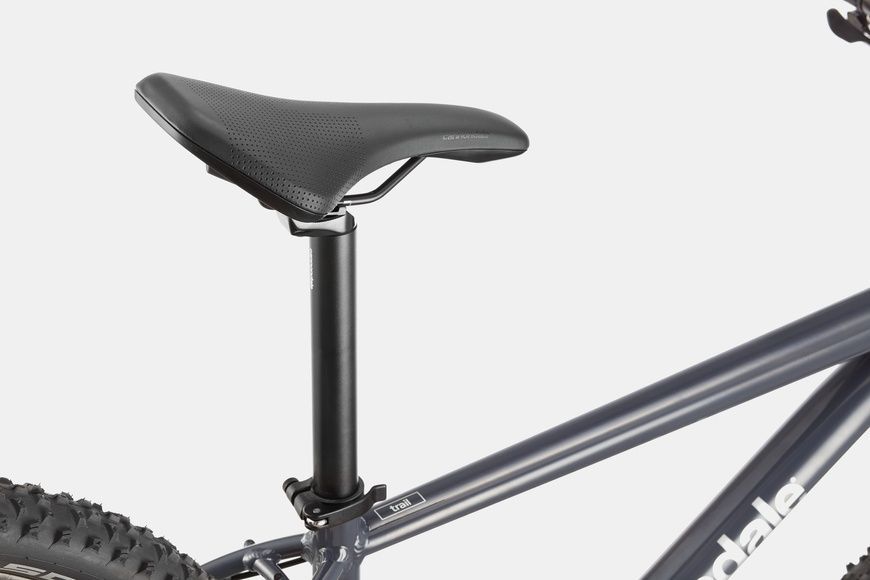 фото Велосипед гірський 29" Cannondale TRAIL 6