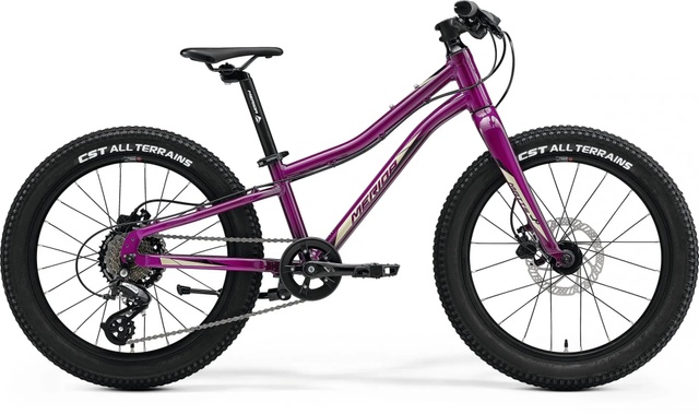 фото Велосипед детский 20" Merida MATTS J.20+ (2023) purple